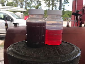 Side-by-Side Fuel Samples Before and After Fuel Polishing